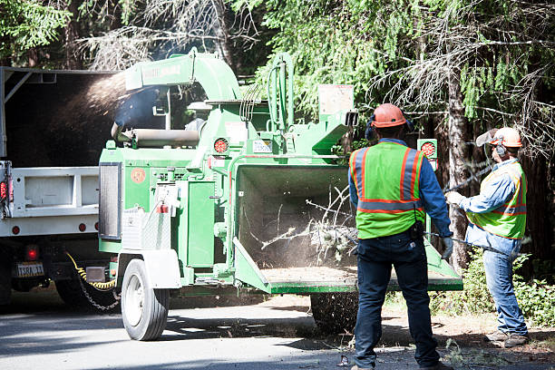 Best Seasonal Cleanup (Spring/Fall)  in Grant City, MO